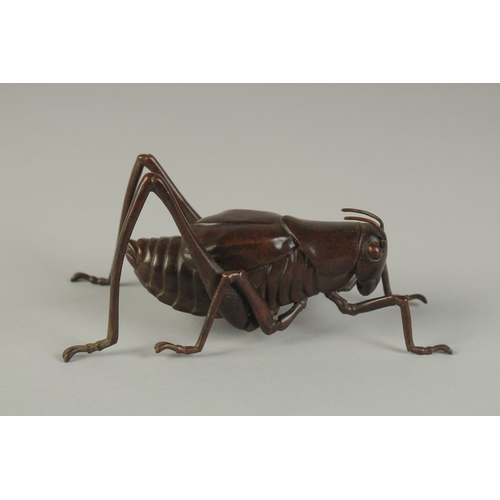 63 - A JAPANESE BRONZE OKIMONO OF A TRUE KATYDID, with articulated legs, signed, 16cm long.