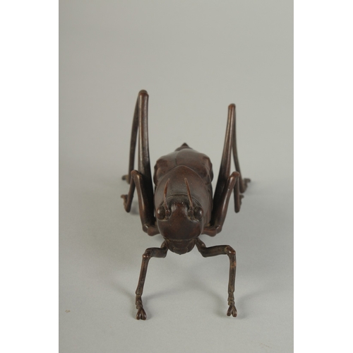 63 - A JAPANESE BRONZE OKIMONO OF A TRUE KATYDID, with articulated legs, signed, 16cm long.