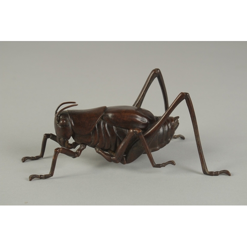 63 - A JAPANESE BRONZE OKIMONO OF A TRUE KATYDID, with articulated legs, signed, 16cm long.