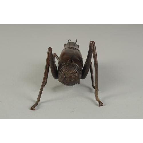 63 - A JAPANESE BRONZE OKIMONO OF A TRUE KATYDID, with articulated legs, signed, 16cm long.