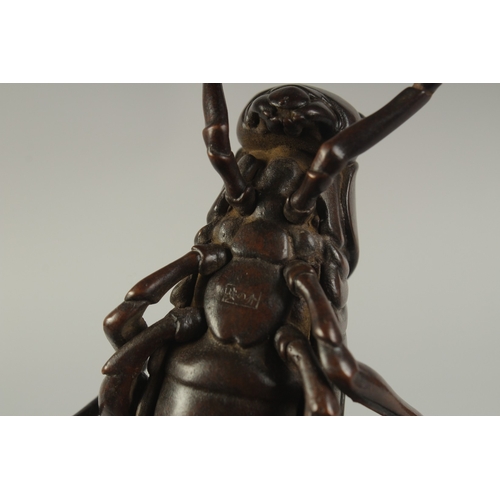 63 - A JAPANESE BRONZE OKIMONO OF A TRUE KATYDID, with articulated legs, signed, 16cm long.