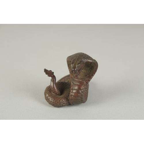 68 - A JAPANESE BRONZE OKIMONO OF A COILED COBRA, 4cm high.