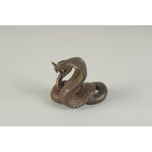 68 - A JAPANESE BRONZE OKIMONO OF A COILED COBRA, 4cm high.