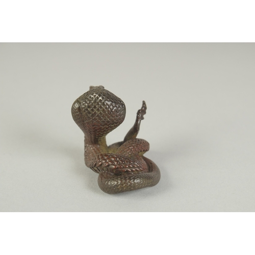 68 - A JAPANESE BRONZE OKIMONO OF A COILED COBRA, 4cm high.