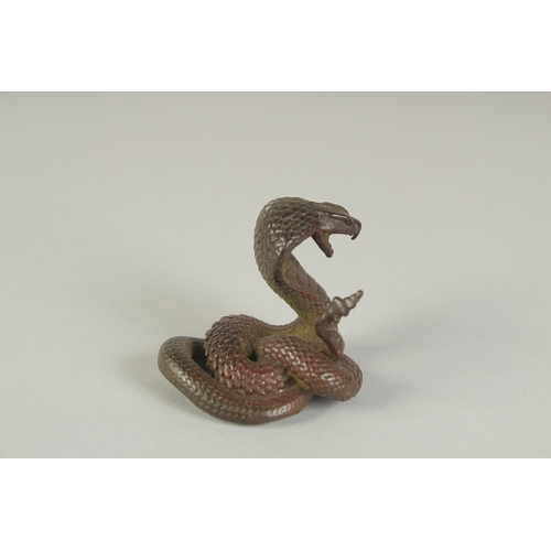 68 - A JAPANESE BRONZE OKIMONO OF A COILED COBRA, 4cm high.