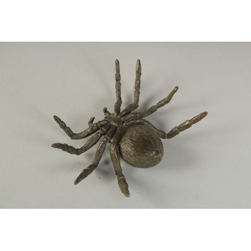 69 - A JAPANESE BRONZE OKIMONO OF A SPIDER, 8cm wide.