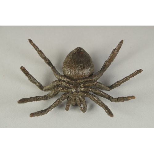69 - A JAPANESE BRONZE OKIMONO OF A SPIDER, 8cm wide.