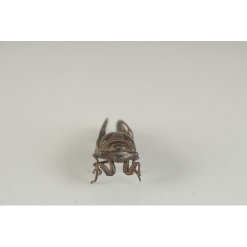 70 - A JAPANESE BRONZE OKIMONO OF A CICADA, 6cm long.
