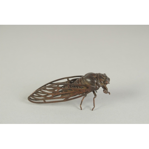 70 - A JAPANESE BRONZE OKIMONO OF A CICADA, 6cm long.
