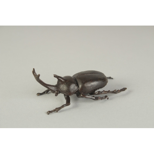 71 - A JAPANESE BRONZE OKIMONO OF A BEETLE, 6cm long.