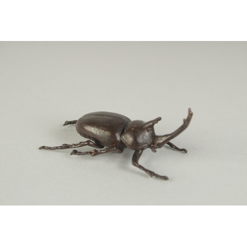 71 - A JAPANESE BRONZE OKIMONO OF A BEETLE, 6cm long.