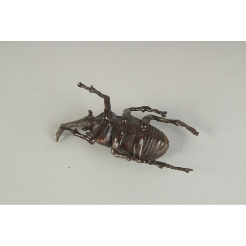 71 - A JAPANESE BRONZE OKIMONO OF A BEETLE, 6cm long.