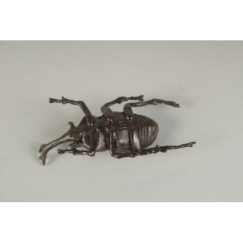 71 - A JAPANESE BRONZE OKIMONO OF A BEETLE, 6cm long.