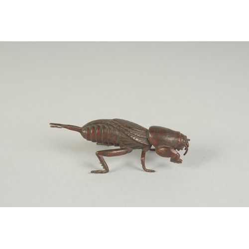 73 - A JAPANESE BRONZE OKIMONO OF A MOLE CRICKET, 6.5cm long.