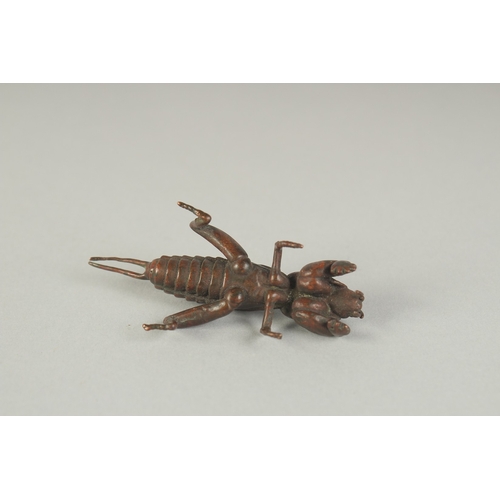 73 - A JAPANESE BRONZE OKIMONO OF A MOLE CRICKET, 6.5cm long.