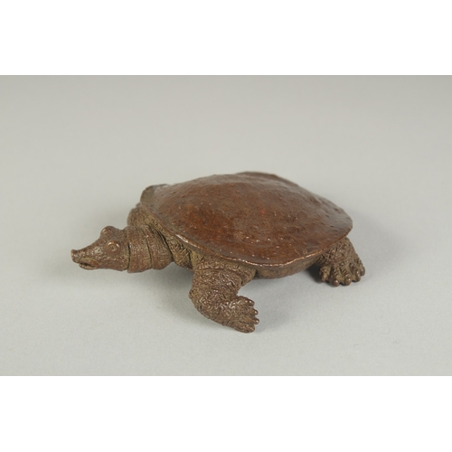 77 - A JAPANESE BRONZE OKIMONO OF A TORTOISE, 9cm long.