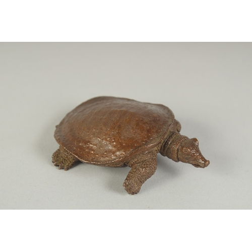 77 - A JAPANESE BRONZE OKIMONO OF A TORTOISE, 9cm long.