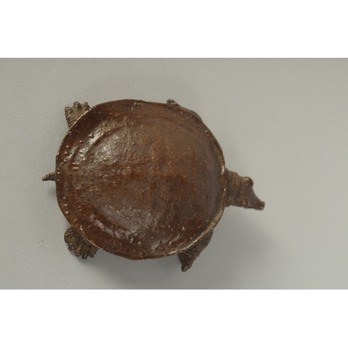 77 - A JAPANESE BRONZE OKIMONO OF A TORTOISE, 9cm long.