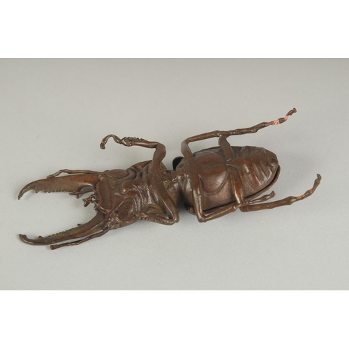80 - A JAPANESE BRONZE OKIMONO OF A STAG BEETLE, with hinged back opening to reveal inner compartment, 13... 