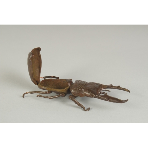 80 - A JAPANESE BRONZE OKIMONO OF A STAG BEETLE, with hinged back opening to reveal inner compartment, 13... 