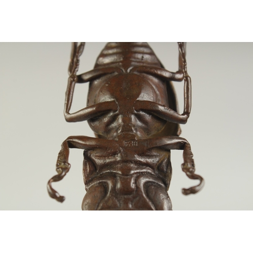 80 - A JAPANESE BRONZE OKIMONO OF A STAG BEETLE, with hinged back opening to reveal inner compartment, 13... 