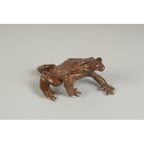 81 - A JAPANESE BRONZE OKIMONO OF A FROG, 7cm long.