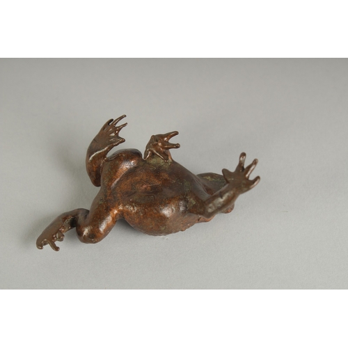 81 - A JAPANESE BRONZE OKIMONO OF A FROG, 7cm long.
