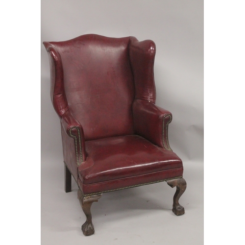 1029 - A GOOD STUDDED LEATHER WING ARM CHAIR on claw and ball feet.