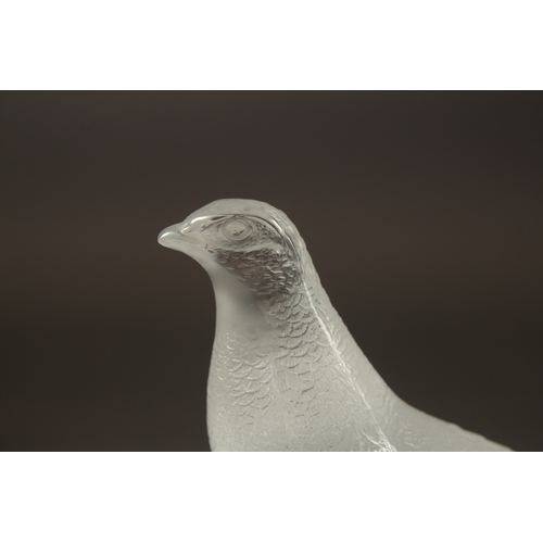 1071 - A FROSTED GLASS LALIQUE PARTRIDGE. Signed, Lalique France. 6.5ins high.