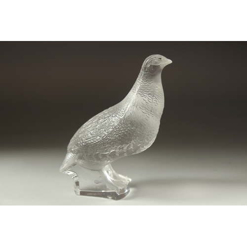 1071 - A FROSTED GLASS LALIQUE PARTRIDGE. Signed, Lalique France. 6.5ins high.