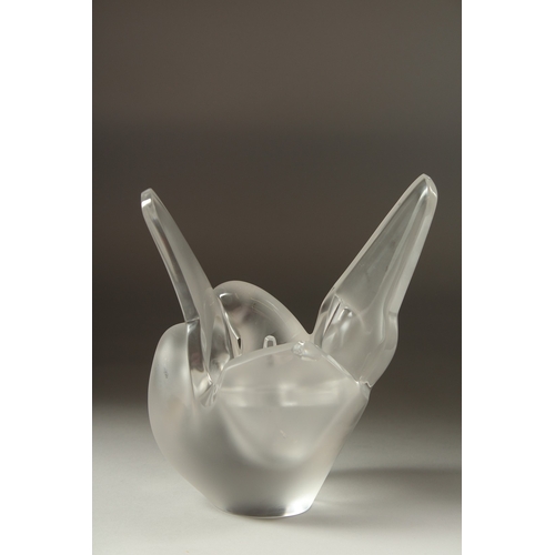 1072 - A FROSTED GLASS LALIQUE LOVE BIRD as a flower vase. Signed, Lalique, France.  8ins high (chipped).... 