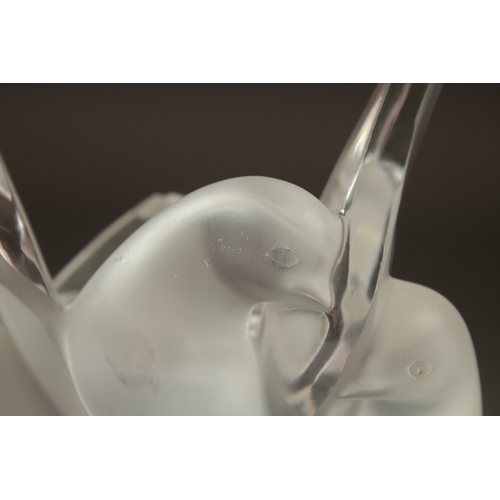 1072 - A FROSTED GLASS LALIQUE LOVE BIRD as a flower vase. Signed, Lalique, France.  8ins high (chipped).... 