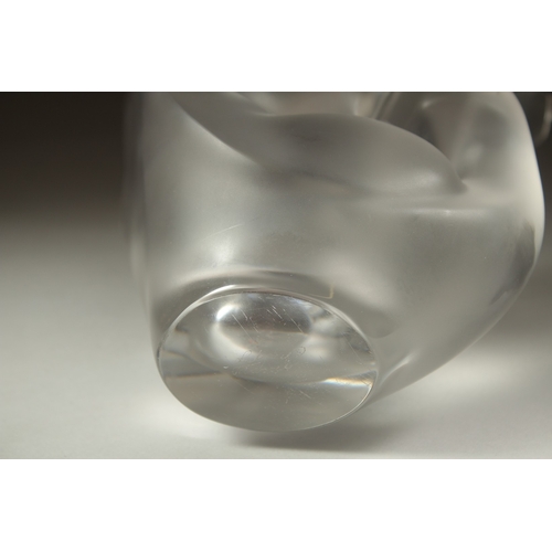 1072 - A FROSTED GLASS LALIQUE LOVE BIRD as a flower vase. Signed, Lalique, France.  8ins high (chipped).... 