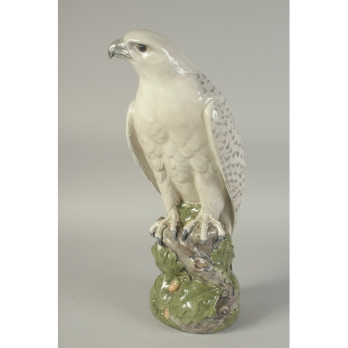 1126 - A LARGE COPENHAGEN PORCELAIN FALCON. No.1661 16ins high.