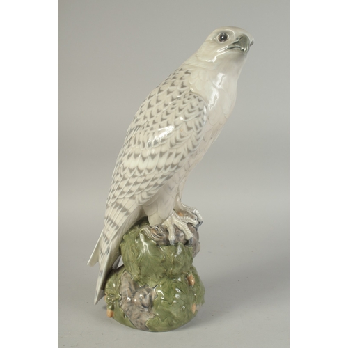 1126 - A LARGE COPENHAGEN PORCELAIN FALCON. No.1661 16ins high.