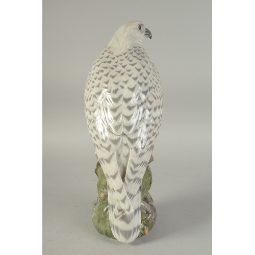 1126 - A LARGE COPENHAGEN PORCELAIN FALCON. No.1661 16ins high.