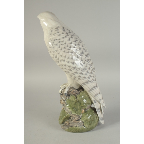 1126 - A LARGE COPENHAGEN PORCELAIN FALCON. No.1661 16ins high.