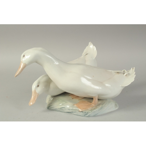 1127 - A COPENHAGEN PORCELAIN GROUP OF TWO DUCKS No. 412, 12ins high.