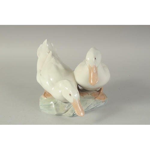 1127 - A COPENHAGEN PORCELAIN GROUP OF TWO DUCKS No. 412, 12ins high.