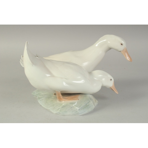 1127 - A COPENHAGEN PORCELAIN GROUP OF TWO DUCKS No. 412, 12ins high.