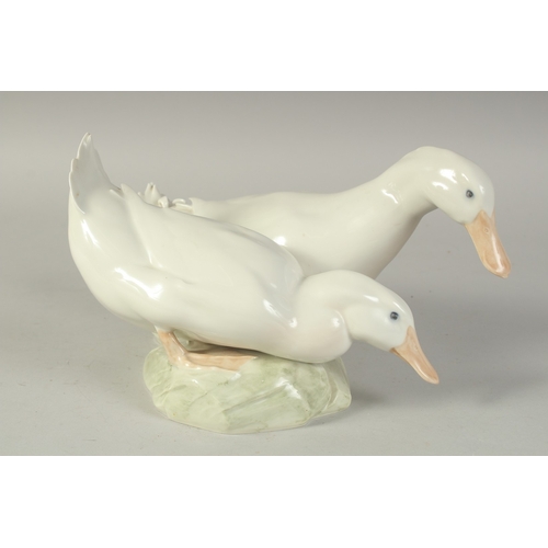 1128 - A COPENHAGEN PORCELAIN GROUP OF TWO DUCKS No. 412, 12ins long.