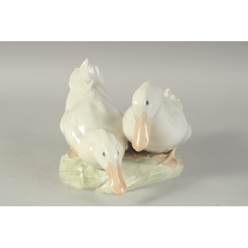 1128 - A COPENHAGEN PORCELAIN GROUP OF TWO DUCKS No. 412, 12ins long.