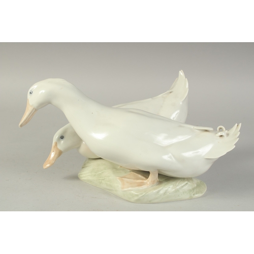 1128 - A COPENHAGEN PORCELAIN GROUP OF TWO DUCKS No. 412, 12ins long.