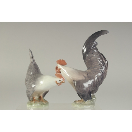 1129 - A PAIR OF COPENHAGEN PORCELAIN COCKERALS. No. 1024 & 1025 5.5ins  & 7.5ins high.