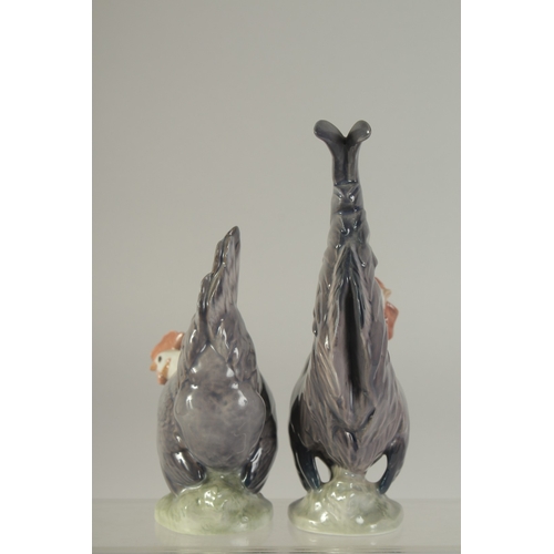 1129 - A PAIR OF COPENHAGEN PORCELAIN COCKERALS. No. 1024 & 1025 5.5ins  & 7.5ins high.