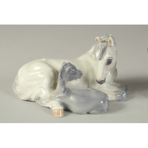 1130 - A COPENHAGEN PORCELAIN GROUP, MARE AND FOAL. No. 4698. 6ins long and A CALF, 6ins long