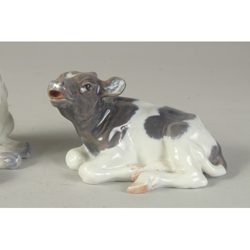 1130 - A COPENHAGEN PORCELAIN GROUP, MARE AND FOAL. No. 4698. 6ins long and A CALF, 6ins long