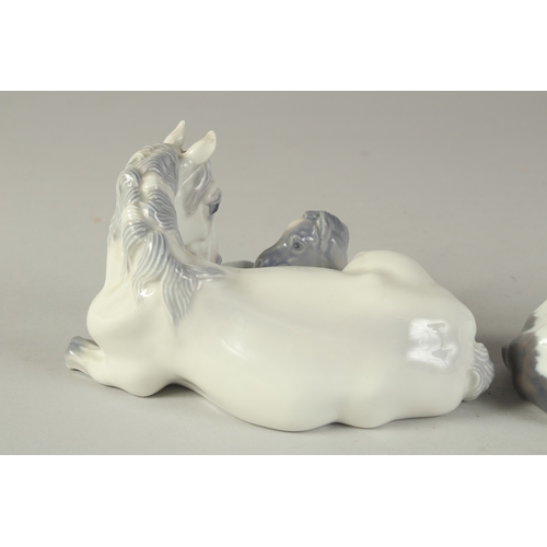 1130 - A COPENHAGEN PORCELAIN GROUP, MARE AND FOAL. No. 4698. 6ins long and A CALF, 6ins long