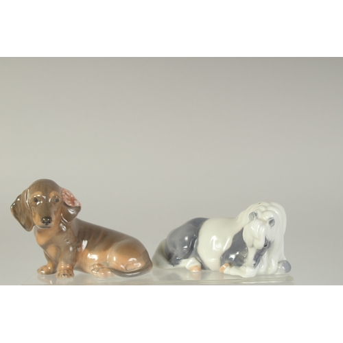 1134 - FIVE COPENHAGEN PORCELAIN FIGURES: PONY, No. 4611, TWO RABBITS, No. 518, ROBIN No. 2251, DOG No. 314... 