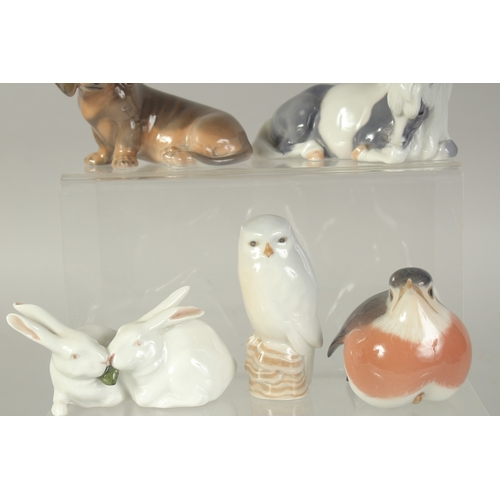 1134 - FIVE COPENHAGEN PORCELAIN FIGURES: PONY, No. 4611, TWO RABBITS, No. 518, ROBIN No. 2251, DOG No. 314... 